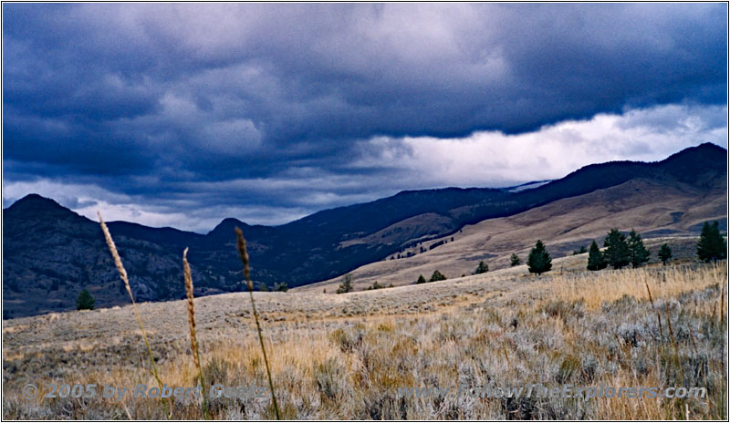 Blacktail Plateau Dr, Yellowstone National Park, WY Blacktail Plateau Dr, Yellowstone National Park, WY
