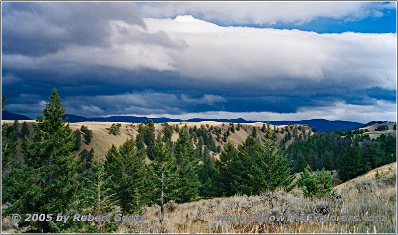 Blacktail Plateau Dr, Yellowstone National Park, WY Blacktail Plateau Dr, Yellowstone National Park, WY