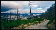 Blacktail Plateau Dr, Yellowstone National Park, Wyoming