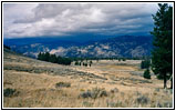 Grand Loop Rd, Yellowstone National Park, WY