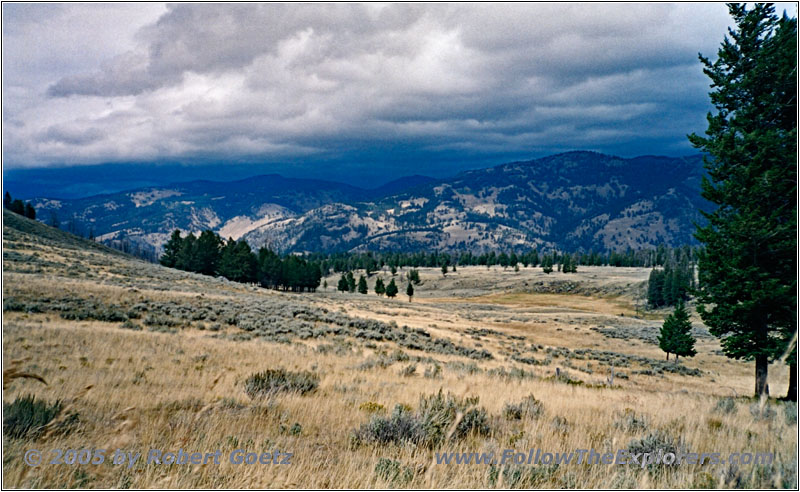 Grand Loop Rd, Yellowstone National Park, Wyoming