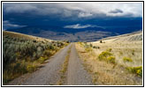 Old Gardiner Rd, Yellowstone National Park, Wyoming