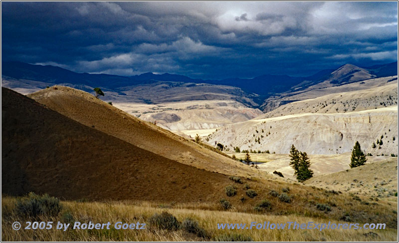 Old Gardiner Rd, Yellowstone National Park, Wyoming