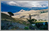 Old Gardiner Rd, Yellowstone National Park, Wyoming