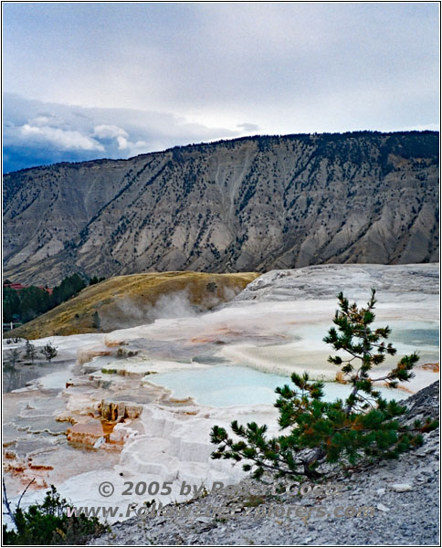 Mammoth Hot Springs, Yellowstone National Park, Wyoming