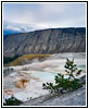 Mammoth Hot Springs, Yellowstone National Park, WY Mammoth Hot Springs, Yellowstone National Park, WY