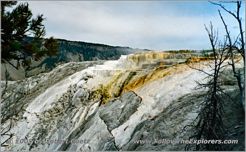 Mammoth Hot Springs, Yellowstone National Park, WY Mammoth Hot Springs, Yellowstone National Park, WY