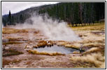 Obsidian Creek, Yellowstone National Park, Wyoming