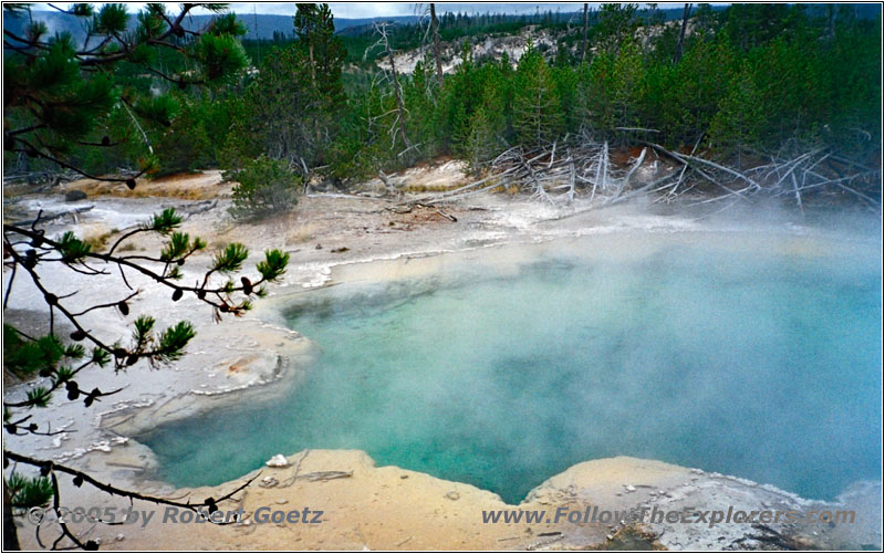 Norris Geyser Basin, Yellowstone National Park, WY Norris Geyser Basin, Yellowstone National Park, WY