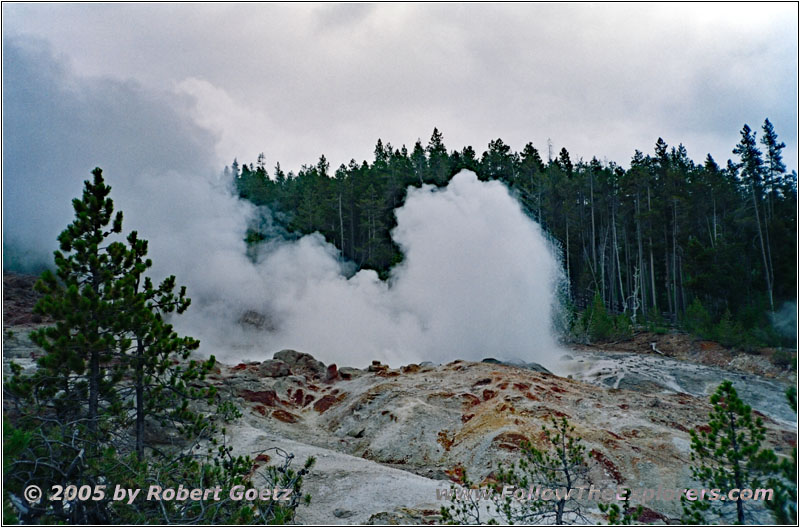 Norris Geyser Basin, Yellowstone National Park, Wyoming