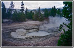 Norris Geyser Basin, Yellowstone National Park, WY