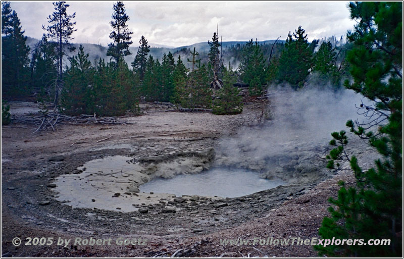 Norris Geyser Basin, Yellowstone National Park, WY