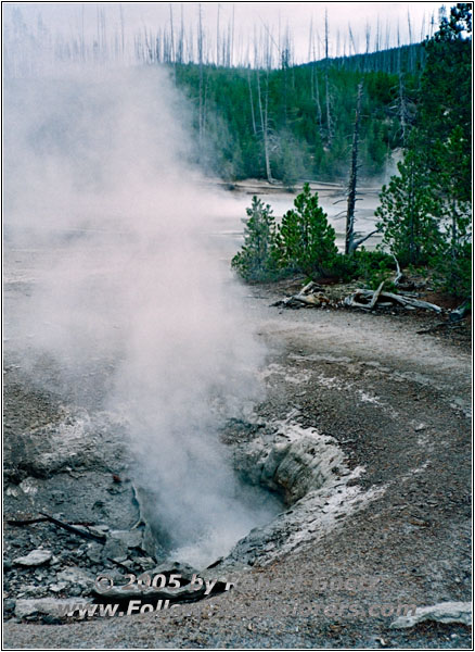 Norris Geyser Basin, Yellowstone National Park, WY Norris Geyser Basin, Yellowstone National Park, WY