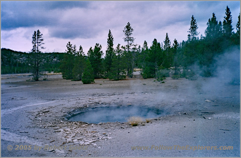 Norris Geyser Basin, Yellowstone National Park, WY
