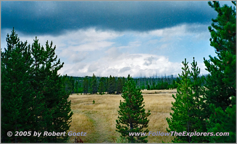 Grand Loop Rd, Yellowstone National Park, Wyoming