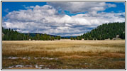 Grand Loop Rd, Yellowstone National Park, WY