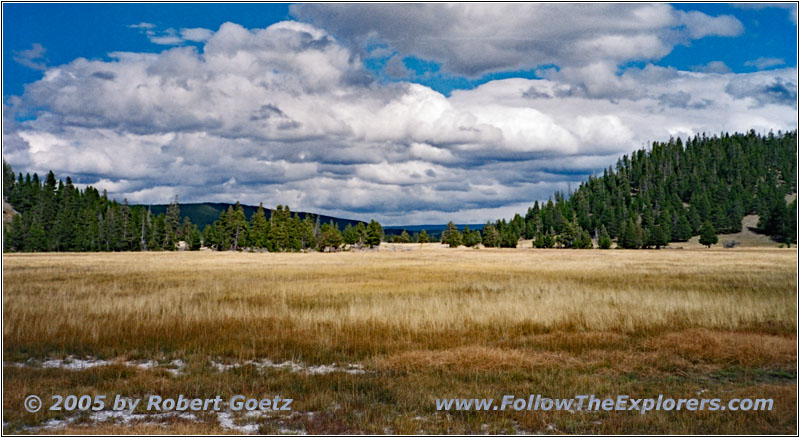 Grand Loop Rd, Yellowstone National Park, Wyoming