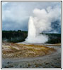 Old Faithful, Yellowstone National Park, Wyoming