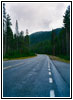 Grand Loop Rd, Yellowstone National Park, Wyoming