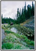 Grand Loop Rd, Yellowstone National Park, Wyoming