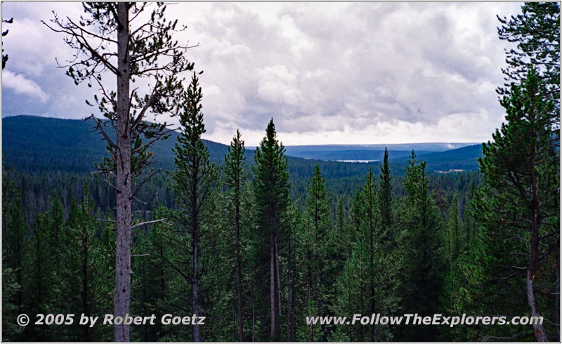 Grand Loop Rd, Yellowstone National Park, Wyoming