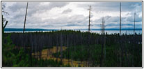 Grand Loop Rd, Yellowstone National Park, Wyoming