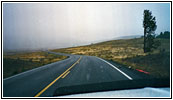 Grand Loop Rd, Yellowstone National Park, WY