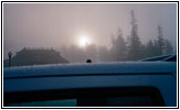 Morgennebel Canyon Village, Yellowstone National Park, Wyoming