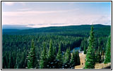 Grand Loop Rd, Yellowstone National Park, Wyoming