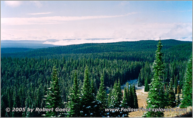 Grand Loop Rd, Yellowstone National Park, WY