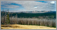 Grand Loop Rd, Yellowstone National Park, WY Grand Loop Rd, Yellowstone National Park, WY