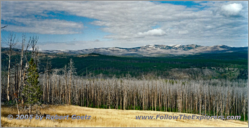 Grand Loop Rd, Yellowstone National Park, WY Grand Loop Rd, Yellowstone National Park, WY