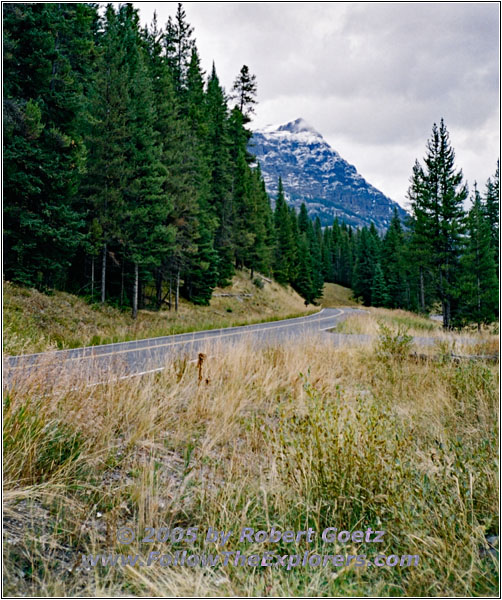 NE Entrance Rd, Yellowstone National Park, WY