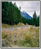 NE Entrance Rd, Yellowstone National Park, Wyoming