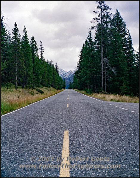 NE Entrance Rd, Yellowstone National Park, WY