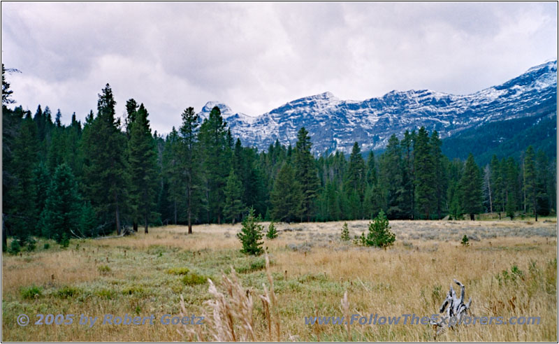 NE Entrance Rd, Yellowstone National Park, WY