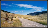 Pryor Mountain Rd, Montana