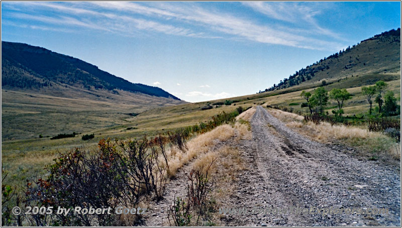 Pryor Mountain Rd back, MT