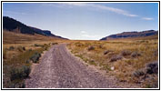 Pryor Mountain Rd back, MT