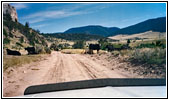 Kühe, Sage Creek Rd, Montana