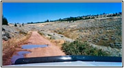 Pryor Mountain Rd, Montana