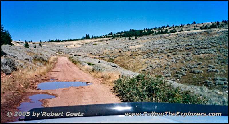 Pryor Mountain Rd, MT Pryor Mountain Rd, MT