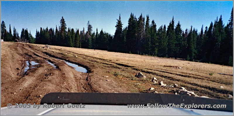 Pryor Mountain Rd, Montana