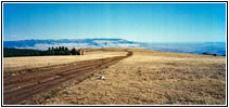 Pryor Mountain Wild Horse Range, Montana