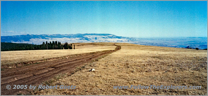 Pryor Mountain Wild Horse Range, MT Pryor Mountain Wild Horse Range, MT