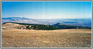 Pryor Mountain Wild Horse Range, MT