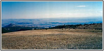 Pryor Mountain Wild Horse Range, Montana