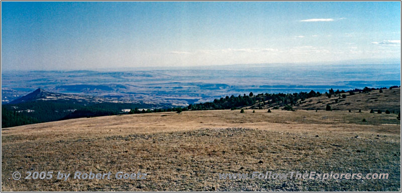 Pryor Mountain Wild Horse Range, Montana