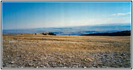 Pryor Mountain Wild Horse Range, MT