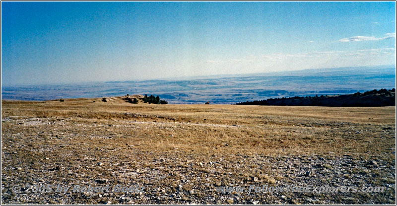 Pryor Mountain Wild Horse Range, Montana